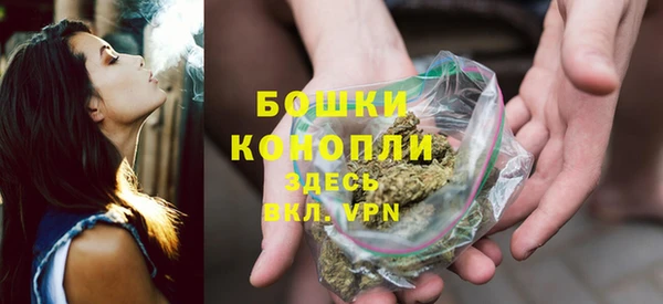 дживик Каменногорск