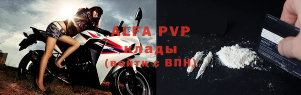 ГАЛЛЮЦИНОГЕННЫЕ ГРИБЫ Иннополис