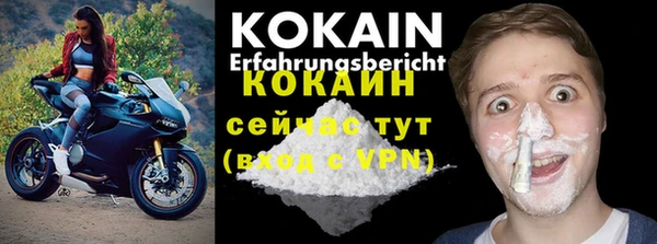ALPHA-PVP Каменка