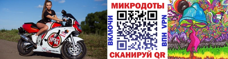 Псилоцибиновые грибы Cubensis  Купить  Джанкой 